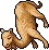 Dromedary